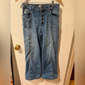 Kut from the Kloth Meg High Rise Wide Leg size 0